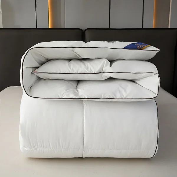 Piumino per hotel 95 Trapunta in piuma d'oca bianca Trapunta estiva fresca Copripiumino airable Trapunta primaverile e autunnale Trapunta invernale 3