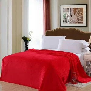 Coperta ispessita Sottile trapuntato versatile Comodo orologio Pesante piumino in pile da letto in flanella 1