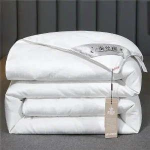 Piumino in seta di gelso naturale Piumino di lusso Queen King Size Trapunta estiva invernale Biancheria da letto per coppia singola 1