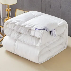 Piumino per hotel a cinque stelle 95 Piumino d'oca bianca Trapunta invernale calda e spessa Trapunta per la primavera e l'autunno Trapunta per dormitorio per studenti 1