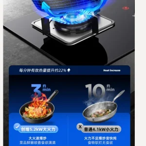 Fornello a gas Skyworth a doppio fuoco da incasso per la casa GPL Gas naturale BD 1