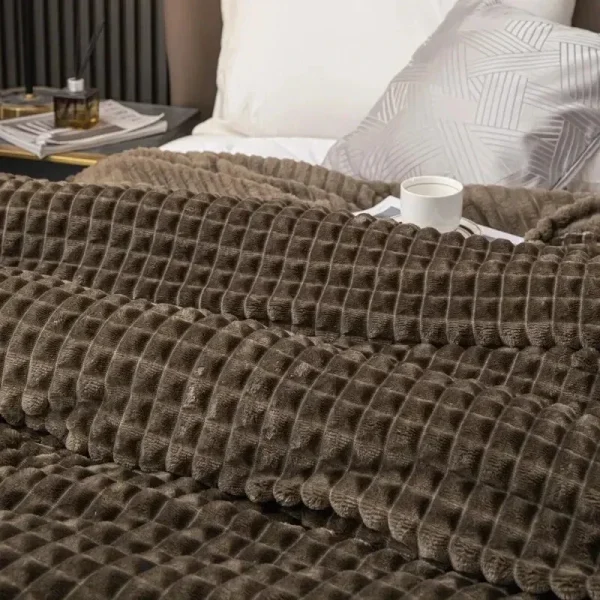 Una coperta da letto in velluto di latte a quadretti, bambini, adulti, inverno caldo, tinta unita resistente, divano, comoda trapunta in morbido velluto corallo 4