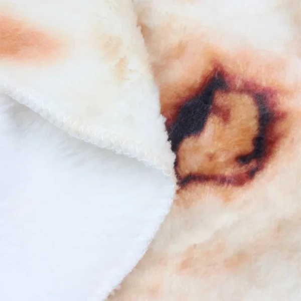 Morbida e calda coperta di flanella con stampa tortilla messicana per divano divano casa ufficio letto campeggio coperte divertenti per adulti regali per bambini 4