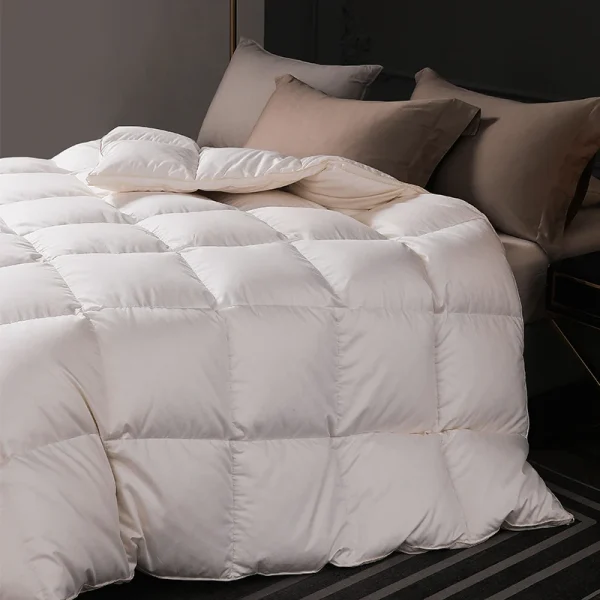 Lussuose trapunte trapunte piumini per letto invernale piumino 2 persone doppio riempito con piumino d'oca bianco di fascia alta puro 95% 5A 1