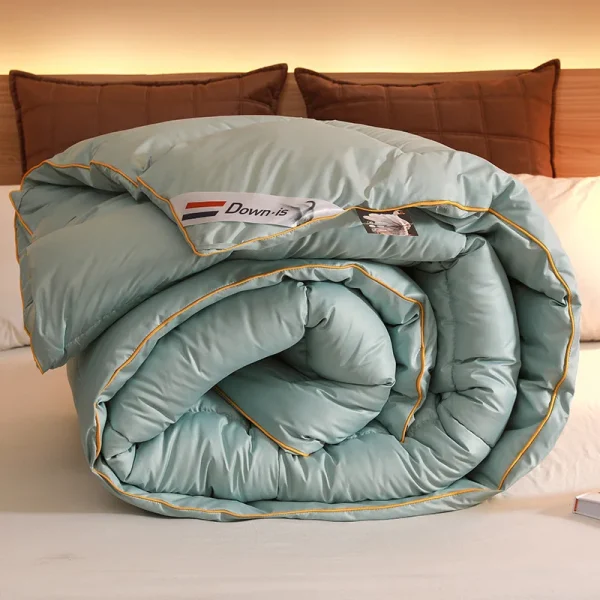 Nuovo piumino in piuma d'oca bianca, coperta spessa invernale, coperta isolante, coperta primaverile e autunnale, coperta per aria condizionata, nucleo 4