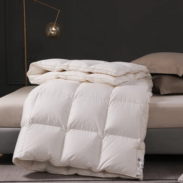 Lussuose trapunte trapunte piumini per letto invernale piumino 2 persone doppio riempito con piumino d'oca bianco di fascia alta puro 95% 5A 4