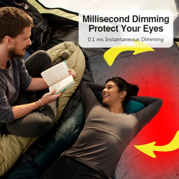 Coperta riscaldante elettrica 80 cm x 160 cm 150x160 cm Tappeti riscaldati elettrici Pad Ispessimento Letto per auto Materasso Scaldalatte Coperta riscaldata 2
