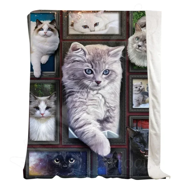Coperta di flanella di gatto grigio britannico stampata in 3D per bambini adulti per copriletto divano morbido e leggero letto da ufficio da viaggio 6