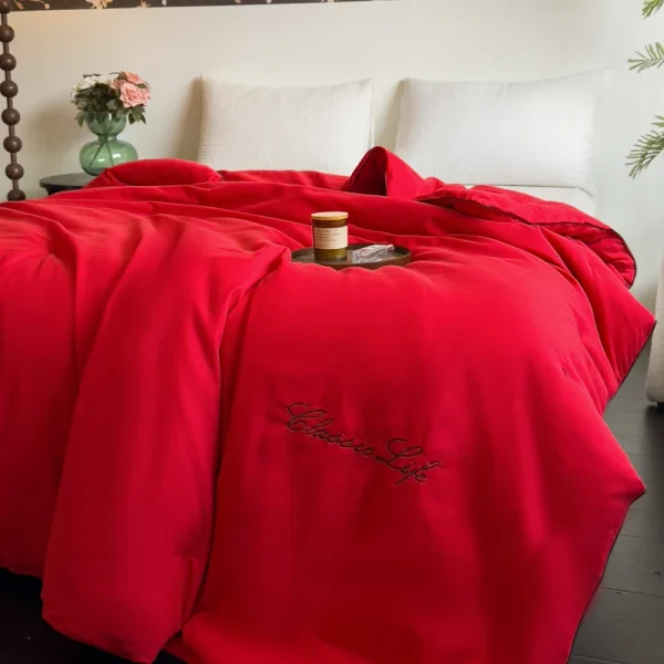 CARA CARLE Piumino in seta di gelso naturale al 100% King Queen Twin Piumino estivo Coperta calda invernale Trapunte per letto singolo per coppia 6