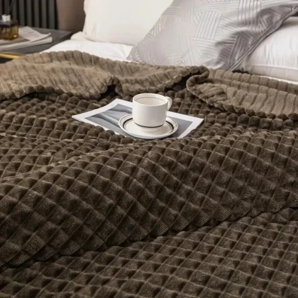 Una coperta da letto in velluto di latte a quadretti, bambini, adulti, inverno caldo, tinta unita resistente, divano, comoda trapunta in morbido velluto corallo 3