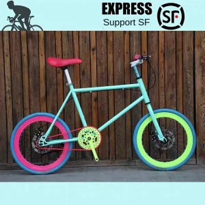 SKIG bicicletta ciclismo Live Fly doppio freno a disco 20 pollici bici da strada adulto uomo donna studente bici Fat Bike campeggio Roadbike notizie 1