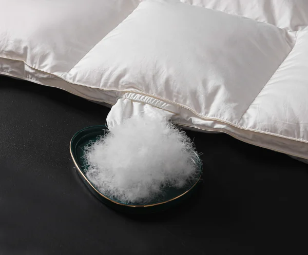 Lussuose trapunte trapunte piumini per letto invernale piumino 2 persone doppio riempito con piumino d'oca bianco di fascia alta puro 95% 5A 6