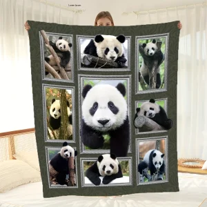 Coperta in peluche modello panda Confortevole stile moderno universale quattro stagioni adatta per divano letto Coperta decorativa da viaggio 1