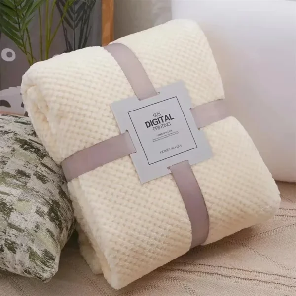 Coperte in pile corallo stile giapponese 300gsm primavera estate morbida soffice pelliccia sintetica visone tiro solido copridivano copriletto coperte scozzesi 1