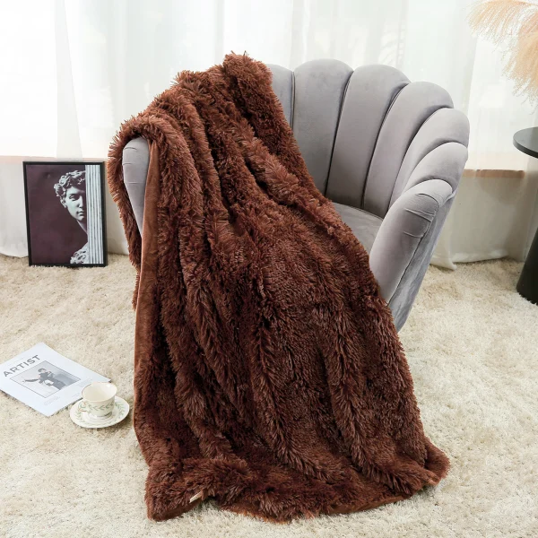 Coperta grande in flanella Coperta lunga in peluche pelosa per divano divano letto Copriletto invernale caldo e soffice in pelliccia sintetica 14 colori 6