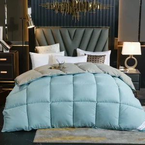 Piumino per la casa Coperta trapuntata invernale Piumino in piuma d'oca Trapunta 100% cotone Coperta King Queen Dimensioni Twin Stitch Одея 이불 이불 1