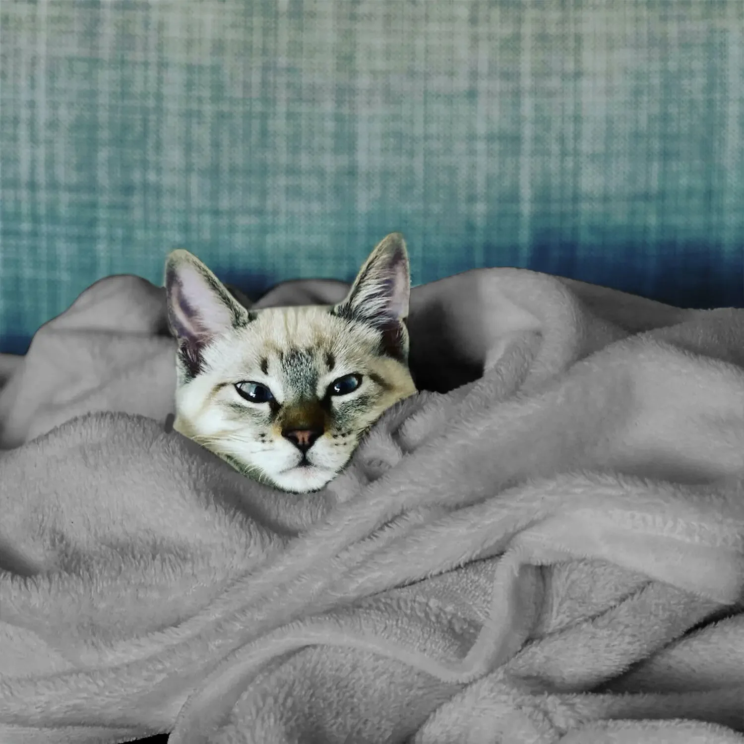 Coperta in pile spesso Coperte da tiro solide per divano letto Coperta sfocata accogliente in peluche Coperte super morbide e calde per l'autunno e l'inverno 5