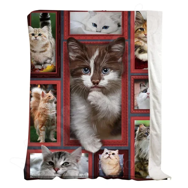 Coperta di flanella di gatto grigio britannico stampata in 3D per bambini adulti per copriletto divano morbido e leggero letto da ufficio da viaggio 4