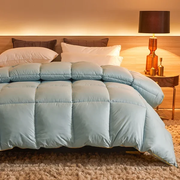 Nuovo piumino in piuma d'oca bianca, coperta spessa invernale, coperta isolante, coperta primaverile e autunnale, coperta per aria condizionata, nucleo 2