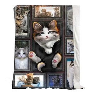 Coperta di flanella di gatto grigio britannico stampata in 3D per bambini adulti per copriletto divano morbido e leggero letto da ufficio da viaggio 1