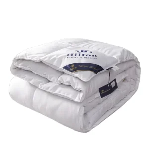 Five-Star Hotel 95 Trapunta in velluto di piume Heattech ispessimento bianco Trapunta rinfrescante estiva Trapunta airable per la primavera 1