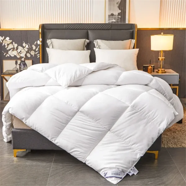 Trapunta invernale in piuma d'oca imitazione Piumino per hotel a cinque stelle Coperta trapuntata trapuntata super morbida e soffice per l'autunno primaverile 2