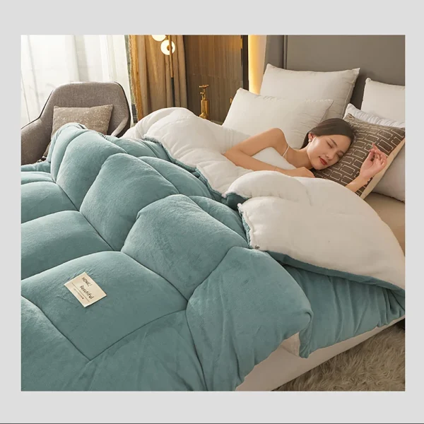 Trapunta doppia addensata piumino invernale molto caldo agnello Cashmere lana trapunta addensare coperta trapunte Core per letto matrimoniale Queen220x240 3