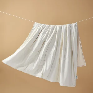 Coperta rinfrescante blu di grado A per letto Trapunta estiva morbida e traspirante Queen Piumino con aria condizionata Piumino laterale AB fresco e leggero 1