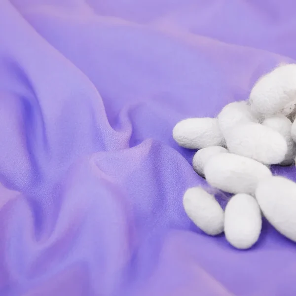 CARA CARLE Piumino in seta di gelso naturale al 100% King Queen Twin Piumino estivo Coperta calda invernale Trapunte per letto singolo per coppia 2