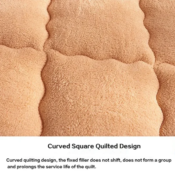 200x230cm doppio piumino trapunta in velluto punto caldo inverno piumino agnello Cashmere lana trapuntatura coperta addensare trapunte letto Queen 739 teglie 2