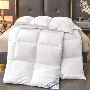 Trapunta invernale in piuma d'oca imitazione Piumino per hotel a cinque stelle Coperta trapuntata trapuntata super morbida e soffice per l'autunno primaverile 1