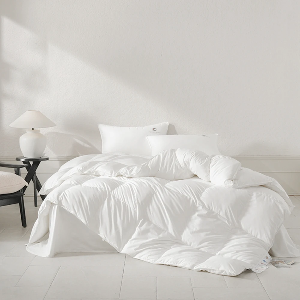 Liv-Esthete inverno 100% piumino d'oca piumino 3D pane piumino coperta per tutte le stagioni Twin Double Queen King 100% cotone Shell 5