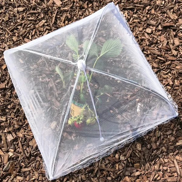 Copertine per alimenti all'aperto per mantenere gli insetti lontani, tenda per alimenti in rete pieghevole da 17x17 pollici per esterni, accessori per picnic Glamping Essentials 6
