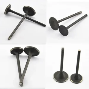 Valvole di aspirazione e scarico motore moto per Suzuki DR200 DR 200 200cc 1