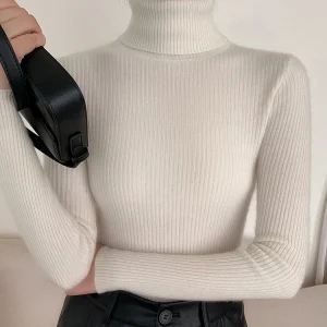 Maglione lavorato a maglia a collo alto da donna, versione coreana, slim, manica lunga, solido semplice, stile basic, top pullover in maglia, autunno, nuovo 1