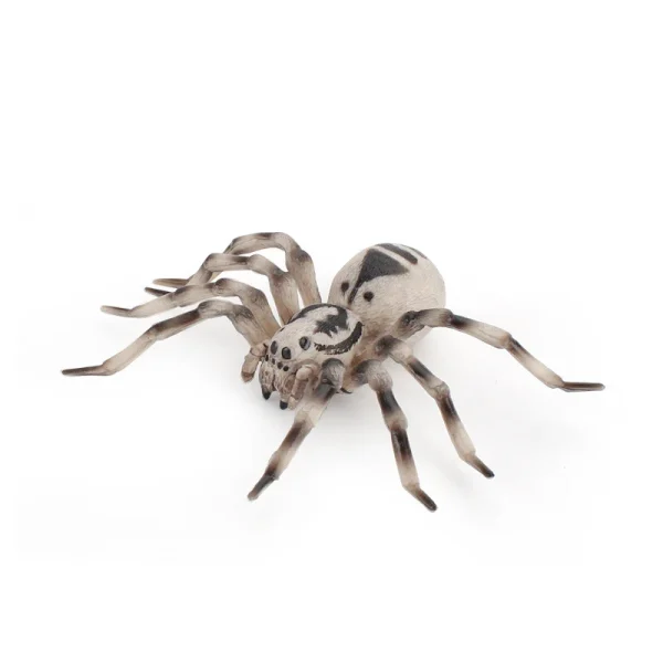 Simulazione Animali Insetto Modello solido Tarantula Ragno nero Halloween Scherzo ingannevole Spaventoso Divertente Action Figures Giocattoli educativi 5