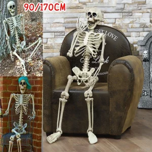Scheletro a forma umana di Halloween, scheletro versabile, ossa a forma umana, decorazioni di Halloween, oggetti di scena horror della casa stregata 90/170 cm 1