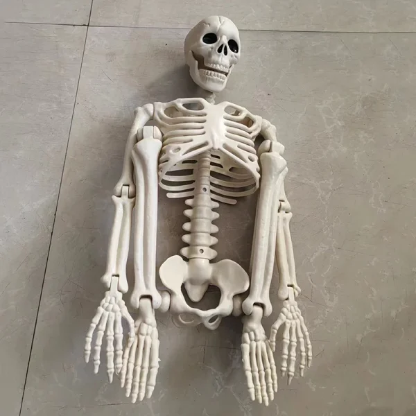 Scheletro mobile di Halloween Ossa di teschio umano finto Decorazioni per bar di casa per feste di Halloween Casa stregata Puntelli horror Giocattoli ornamentali 3