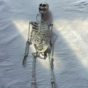90/170 cm Scheletri di Halloween Falso Ossa di teschio per tutto il corpo Mobile Decorazioni per feste di Halloween per la casa Bar Casa stregata Puntelli horror 1