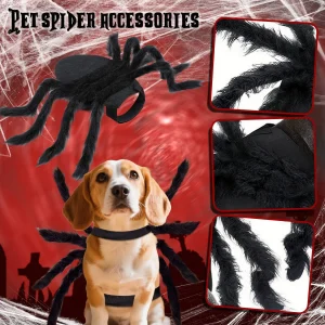 Costume da ragno di Halloween per cani e gatti, costume da animale domestico di Halloween Decorazione di ragno Forniture per feste di Halloween, costume cosplay di ragno 1