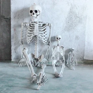 90/170cm posabile a grandezza naturale scheletro umano Halloween Horror anatomia teschio mobile scheletro decorazione di Halloween puntello del partito 1