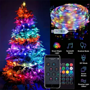 Luci fiabesche a LED intelligenti Luci a filo RGB App Telecomando Alimentato tramite USB Sincronizzazione musicale per matrimoni Feste all'aperto Decorazioni per la casa 1