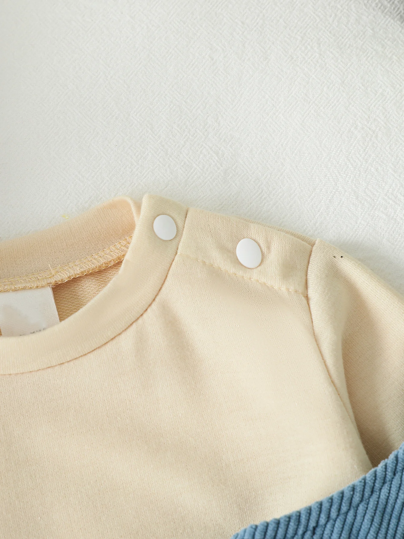 Neonate Ragazzi/Ragazze Outfit Autunno Manica lunga Girocollo T-shirt Ricamo Animali Pantaloni generali Autunno Outfit Set di abbigliamento 1-3Y 5