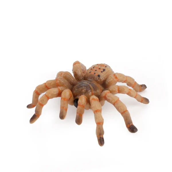Simulazione Animali Insetto Modello solido Tarantula Ragno nero Halloween Scherzo ingannevole Spaventoso Divertente Action Figures Giocattoli educativi 4