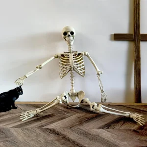 Scheletro di Halloween 90 cm Forma umana di Halloween Ossa di forma umana posabili Decorazioni di Halloween Herror Casa stregata Puntelli horror 1
