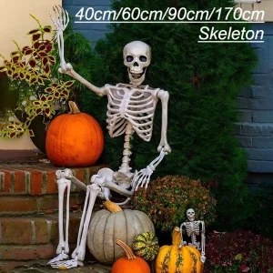 Simulazione Scheletro Decorazione di Halloween 40/60/90/170 cm Scheletro gigante Decorazione horror Casa Festa di Halloween Scheletro Ornamenti 1