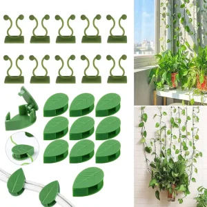 Confezione da 10 pezzi Clip per fissaggio a parete per piante rampicanti Fissatore per vite in rattan Gancio autoadesivo Clip per rilegatura da giardino invisibile Clip adesiva da parete 1