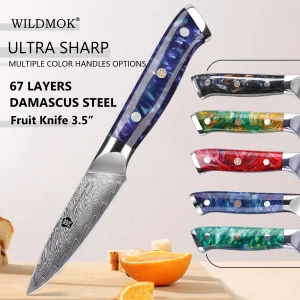 WILDMOK Coltello per sbucciare Damasco, coltello da frutta giapponese da 3,5" a 67 strati in acciaio di Damasco, coltello per sbucciare con manico in resina ultra affilata 1