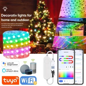 20M TUYA Led Fata Luci Della Stringa Sincronizzazione Musicale 200LED WS2812B Filo di Rame Luci Della Stringa RGBIC Cambia Colore Segmento Luci di Controllo 1