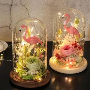 Copertura in vetro trasparente vaso per terrario contenitore per terrario cupola per natale decorazione per la casa di nozze ornamento da tavolo 1